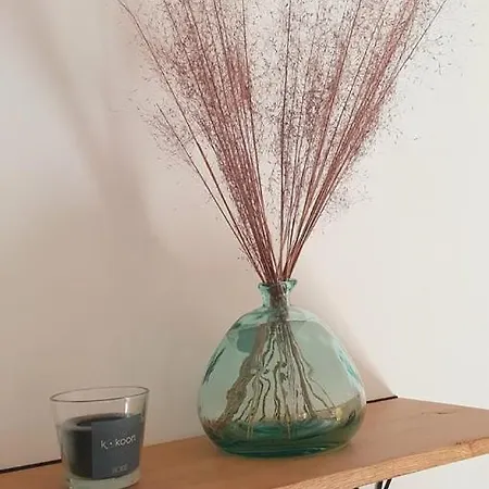 Gasthuis Maison 2/4 Pers Proche Puy Du Fou