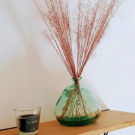 Maison 2/4 Pers Proche Puy Du Fou 3* Les Herbiers