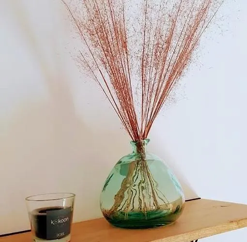 Maison 2/4 Pers Proche Puy Du Fou 3* לז הרבייה